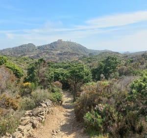 De Portlligat au Cap de Creus - Cadaqués - 4