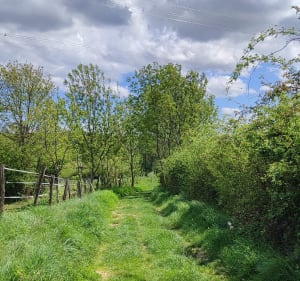 Boucle de Serrières-Félines - Serrières - 4