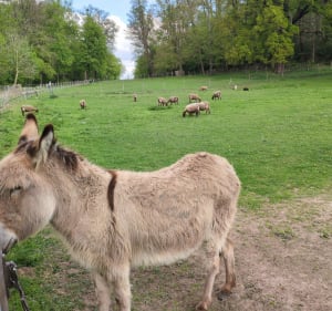 Un tour du parc de Saint-Cloud - Christian - 3