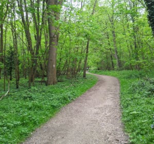 Un tour du parc de Saint-Cloud - Christian - 5