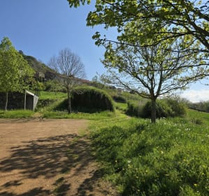Circuit découverte d'Usson - Usson - 3