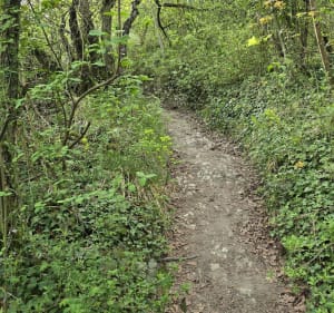 Trail du Val Saint Martin - Les Andelys - 5