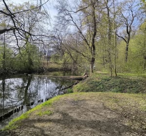 25 kilometrów zupełnie innej nawierzchni. - Wrocław - 3