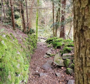 Boucle Jassat et St-Victor-La-Rivière - Saint-Victor-la-Rivière - 4