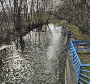 Dolina  rzeki Grabi - Rokitnica - 5