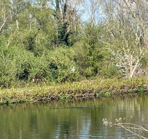 Boucle Montigny - Douai - Rieulay - Montigny - Montigny-en-Ostrevent - 3