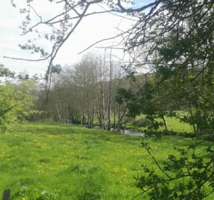 Boucle de Broglie par bois moulin de Prey - Broglie - 4