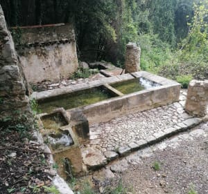 Balade vers la Siagne - Saint-Cézaire-sur-Siagne - 5
