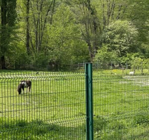 La vallée du Bressour en toute intimité - Soyaux - 4