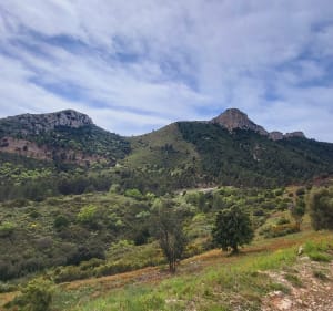 Mont du Ratier - Peypin - 3