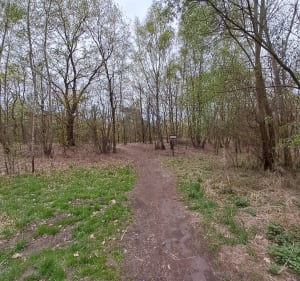 Luboń koło Poznania - Grzegorz  - 4