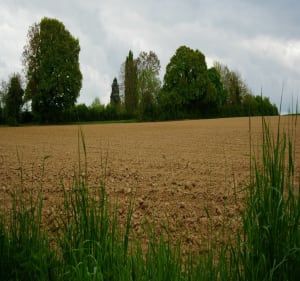 Petite promenade à Boutigny, par Prévilliers - Boutigny - 3