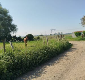 Joli parcours aux abords de Santes - Santes - 5