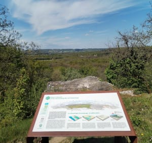 De Boissy à la carrière de Villeneuve-sur-Auvers - Boissy-le-Cutté - 3