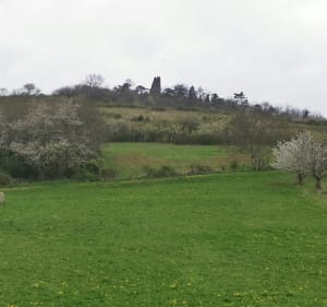 Tour de Montrognon - Beaumont - 3