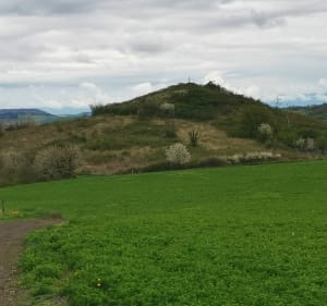 Tour de Montrognon - Beaumont - 5