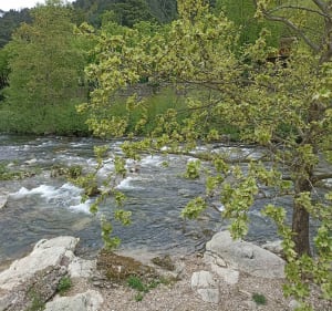 De Lalevade à Vals par l'ancienne voie ferrée - Lalevade-d'Ardèche - 3