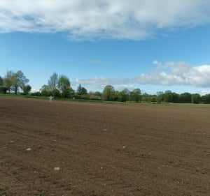 Autour de Bignay - Bignay - 3