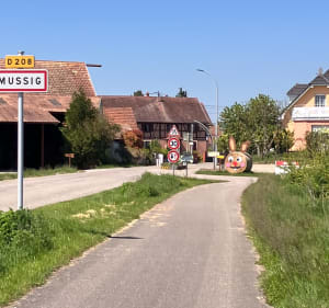 Boucle ERSTEIN Marckolsheim - Erstein - 5