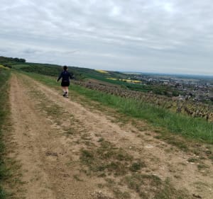 Point de vue à Joigny entre vignes et forêts - Joigny - 3