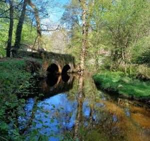 Neyrat Ladedrenne - Saint-Léger-la-Montagne - 4