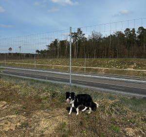 Weekendowy spacer w Lesie Grotnickim - Lućmierz-Las - 3