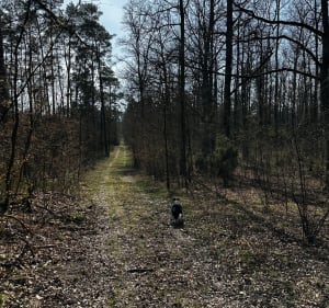 Weekendowy spacer w Lesie Grotnickim - Lućmierz-Las - 4