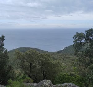 Meria / Caraco - Meria - 5