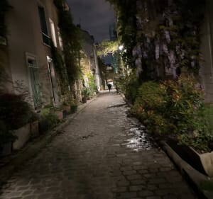 Les ruelles piétonnes et bucoliques de Paris 14eme - Corinne - 4