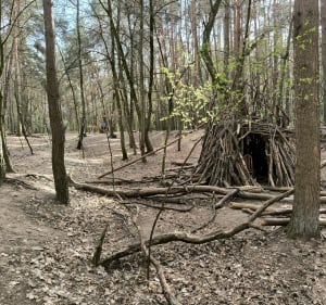 Las miejski - Rezerwat Żurawiniec - Poznań - 3