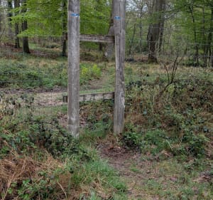 De la faisanderie à Franchard, la grande boucle - Fontainebleau - 5