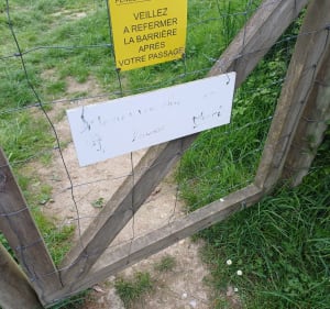 Petit tour entre Noyal et Brécé par les champs - Noyal-sur-Vilaine - 5