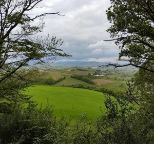 Boucle autour de Savigny - Savigny - 4