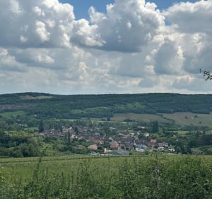 La croix de Teu à Saint-Martin-sous-Montaigu - Saint-Martin-sous-Montaigu - 4