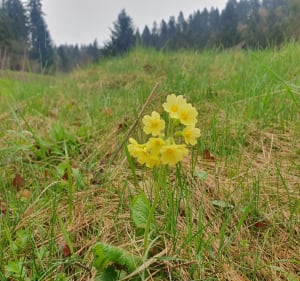Na Bereśnik i Bryjarkę - Katarzyna - 4
