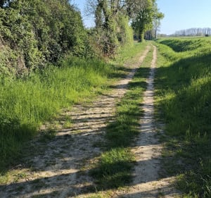 Villeneuve Beauregard par les chemins buissoniers - Villeneuve - 3