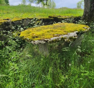 Saint-Antonin et la Gourgue - Saint-Antonin-Noble-Val - 5