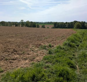 La Motte Marcillé à Gévezé depuis La Mézière - La Mézière - 3