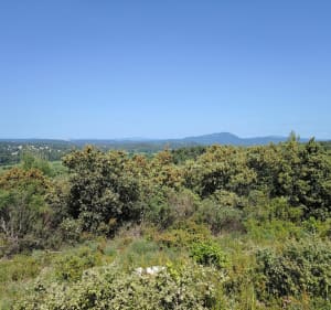 Boucle au Baillarguet - Clapiers - 3