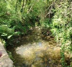 Boucle au Baillarguet - Clapiers - 5
