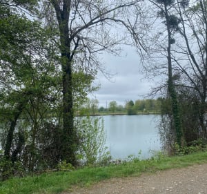 Balade à Bazet - Bazet - 5