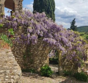 Boucle La Roque-sur-Cèze à Goudargues - La Roque-sur-Cèze - 3