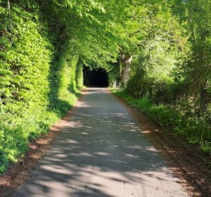 Balade - parcours sportif autour de Lisieux - Lisieux - 3