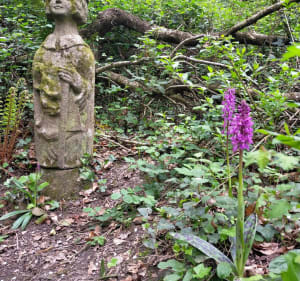 Balade à Plouër sur rance - Plouër-sur-Rance - 3