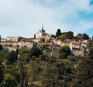 La forêt de cèdre a Bonnieux - Bonnieux - 5