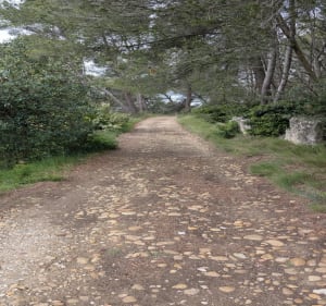 Autour du cimetière de Barbentane - Barbentane - 4