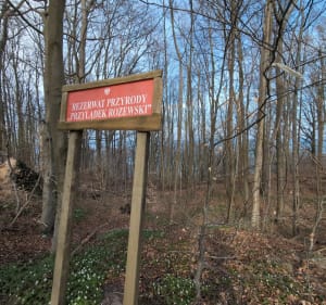 Na Skraju Polski – Wyprawa na Przylądek Rozewie - Jastrzębia Góra - 4