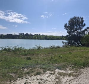 Forêt vignes et gravières Castelnau de Médoc-Moulis-Avensan - Castelnau-de-Médoc - 5