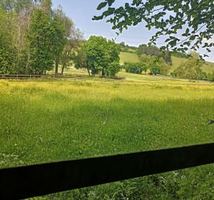 Tour de la forêt communale de Montcarra - Rochetoirin - 3
