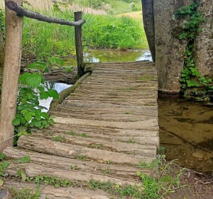 Tour de la forêt communale de Montcarra - Rochetoirin - 4